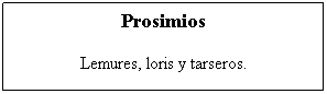 Cuadro de texto: Prosimios 
Lemures, loris y tarseros.
 
