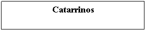 Cuadro de texto: Catarrinos 
 
